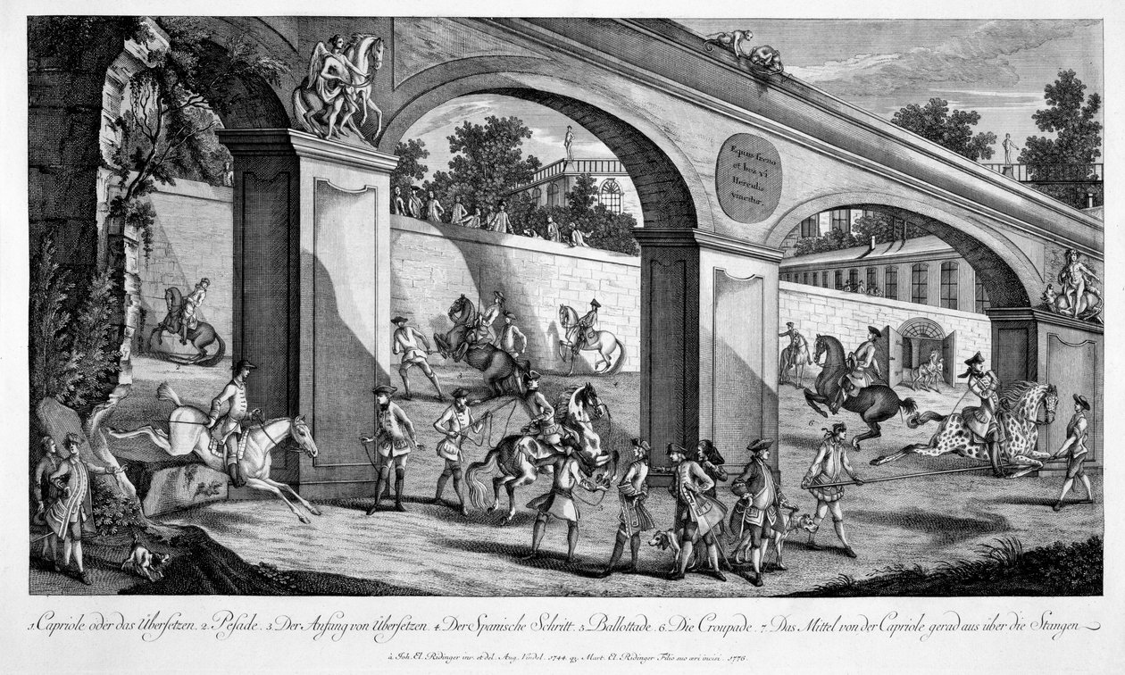 Trénink koní pro službu kavalérie, z „Le Nouveau Manege“, 1776 od Johann Elias Ridinger or Riedinger