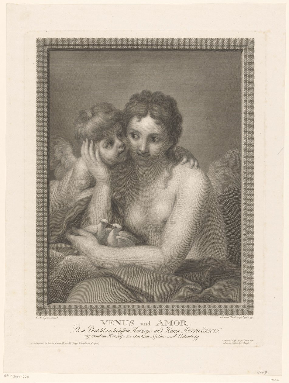 Zamilovaná Venuše od Johann Friedrich Bause