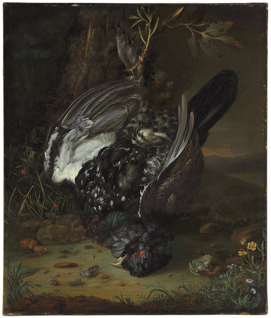 Kocour v zalesněné krajině, 1747 od Johann Friedrich von Grooth