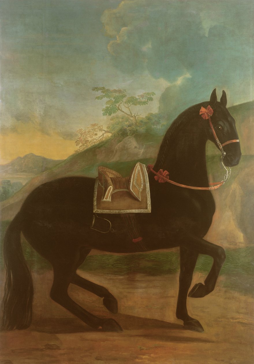 Černý kůň se španělským sedlem od Johann Georg Hamilton