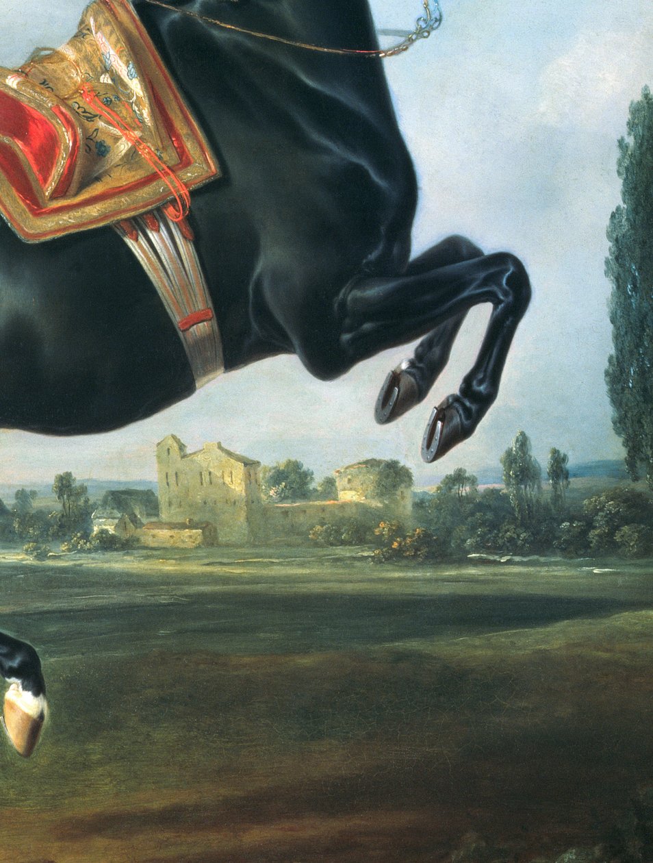 Černý kůň předvádějící Courbette (detail snímku 65652) od Johann Georg Hamilton