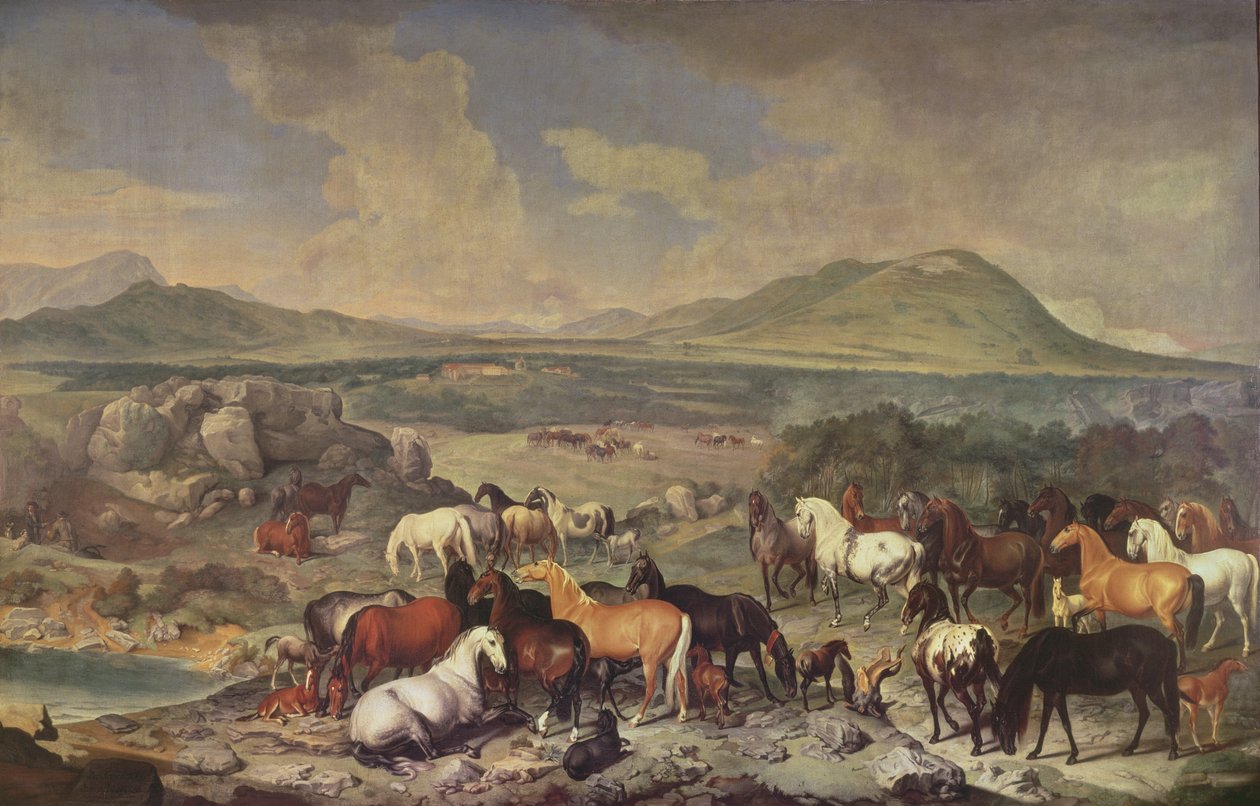 Císařský hřebčín s lipicány od Johann Georg Hamilton