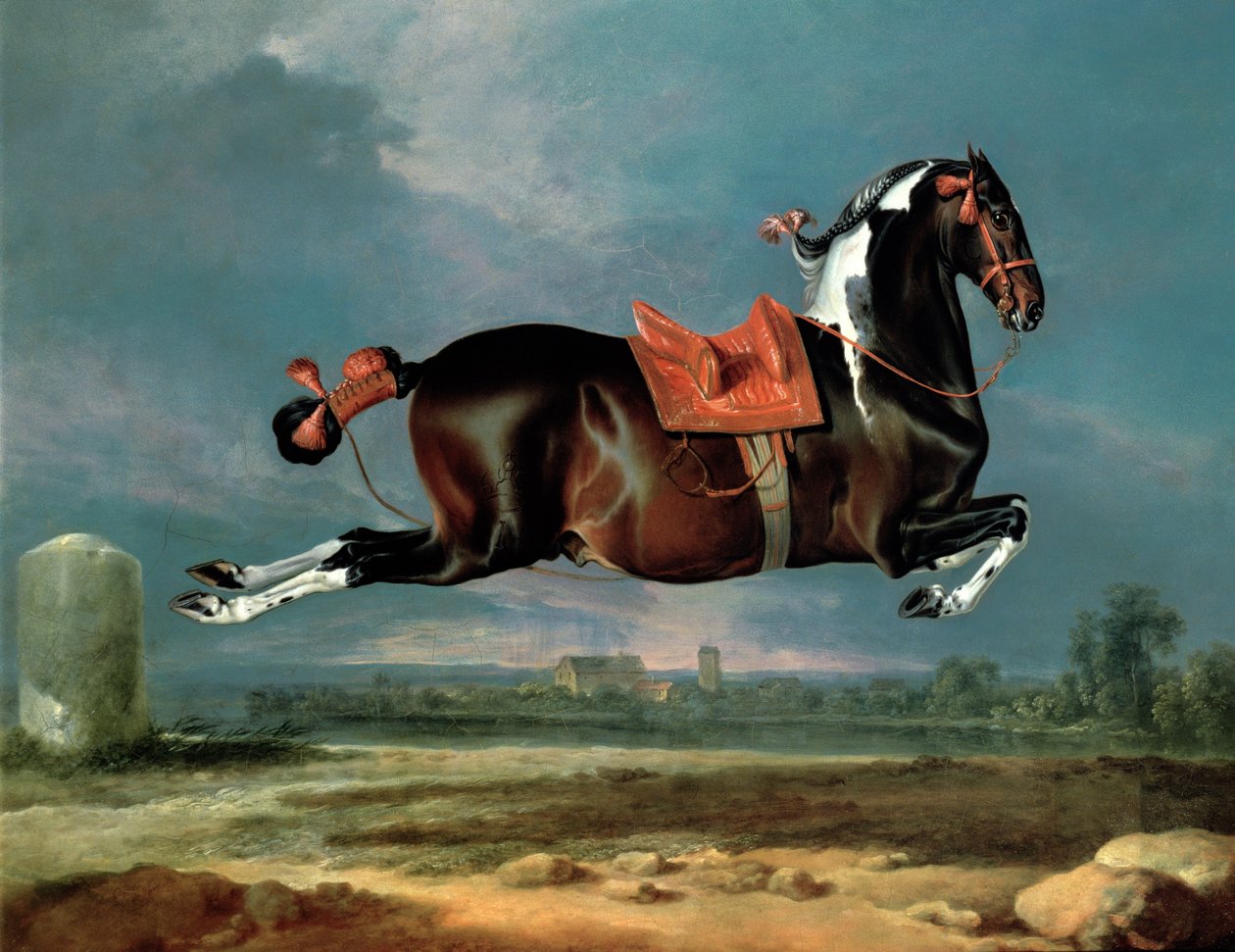 Pebald kůň "Cehero" se vzpíná od Johann Georg Hamilton