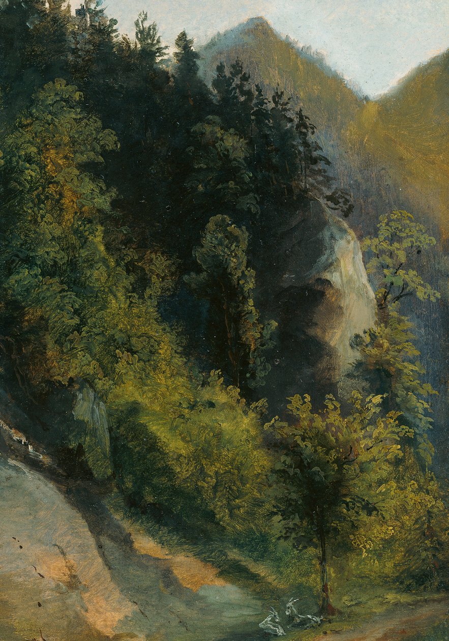 Zalesněné skalnaté údolí s kozami od Johann Georg von Dillis