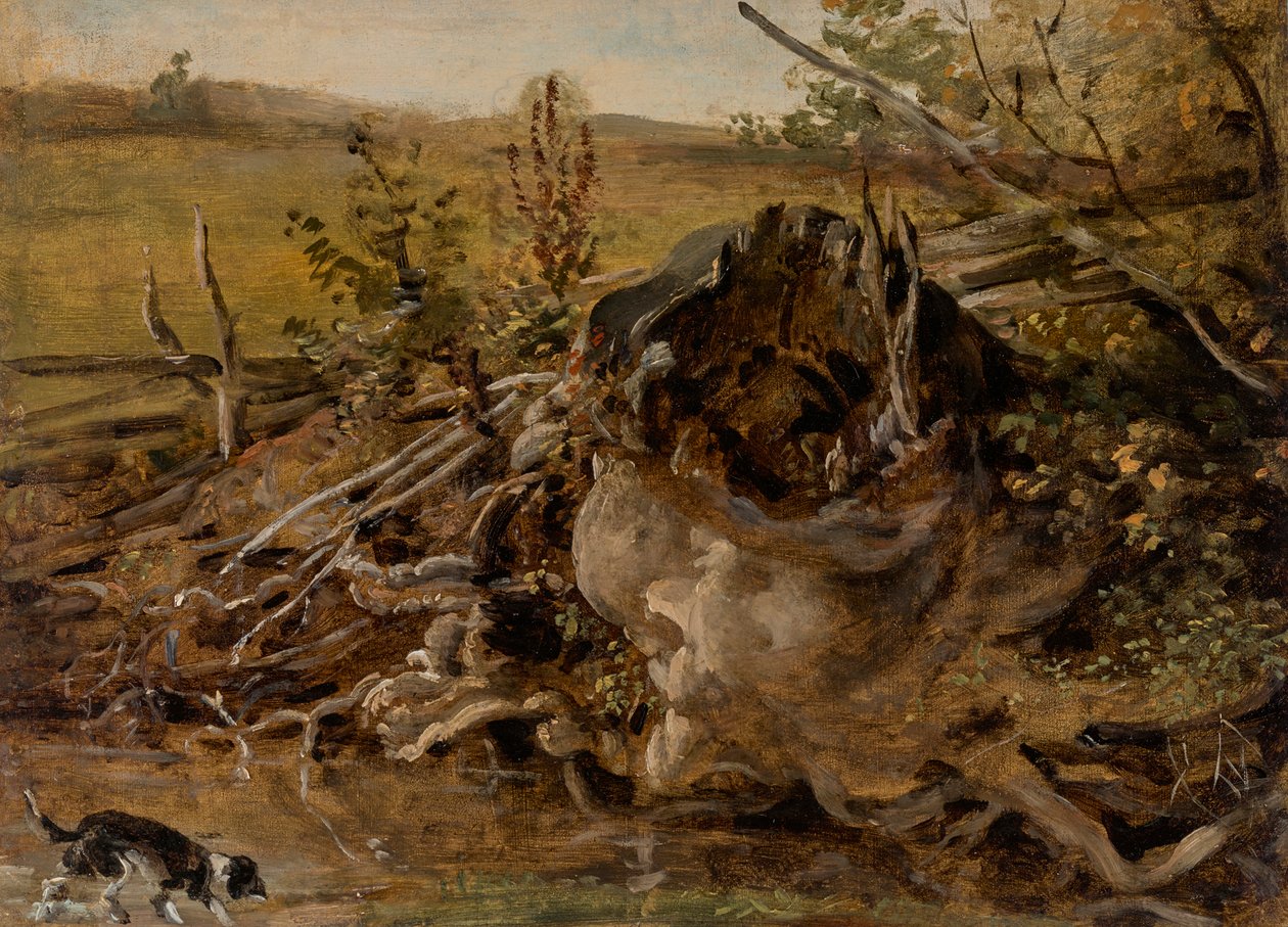 Trouchnivějící pařez a lovecký pes od Johann Georg von Dillis