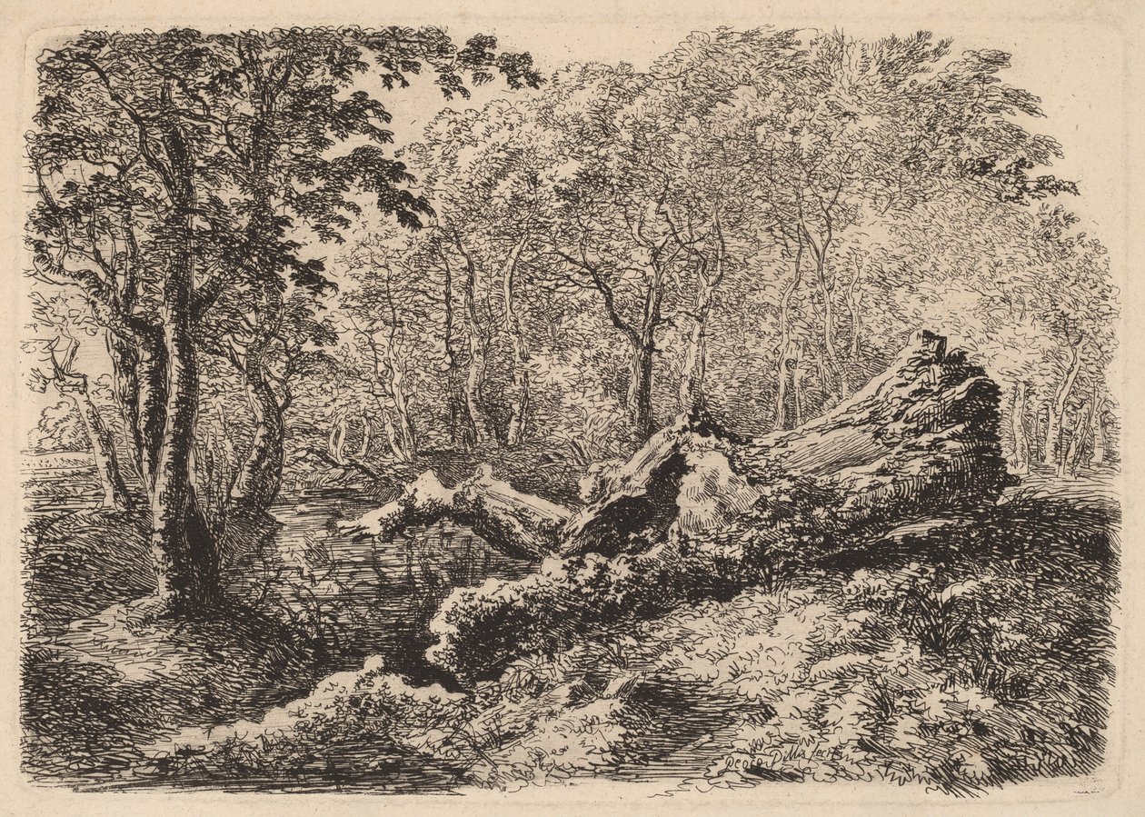 Formování kmen stromu od Johann Georg von Dillis