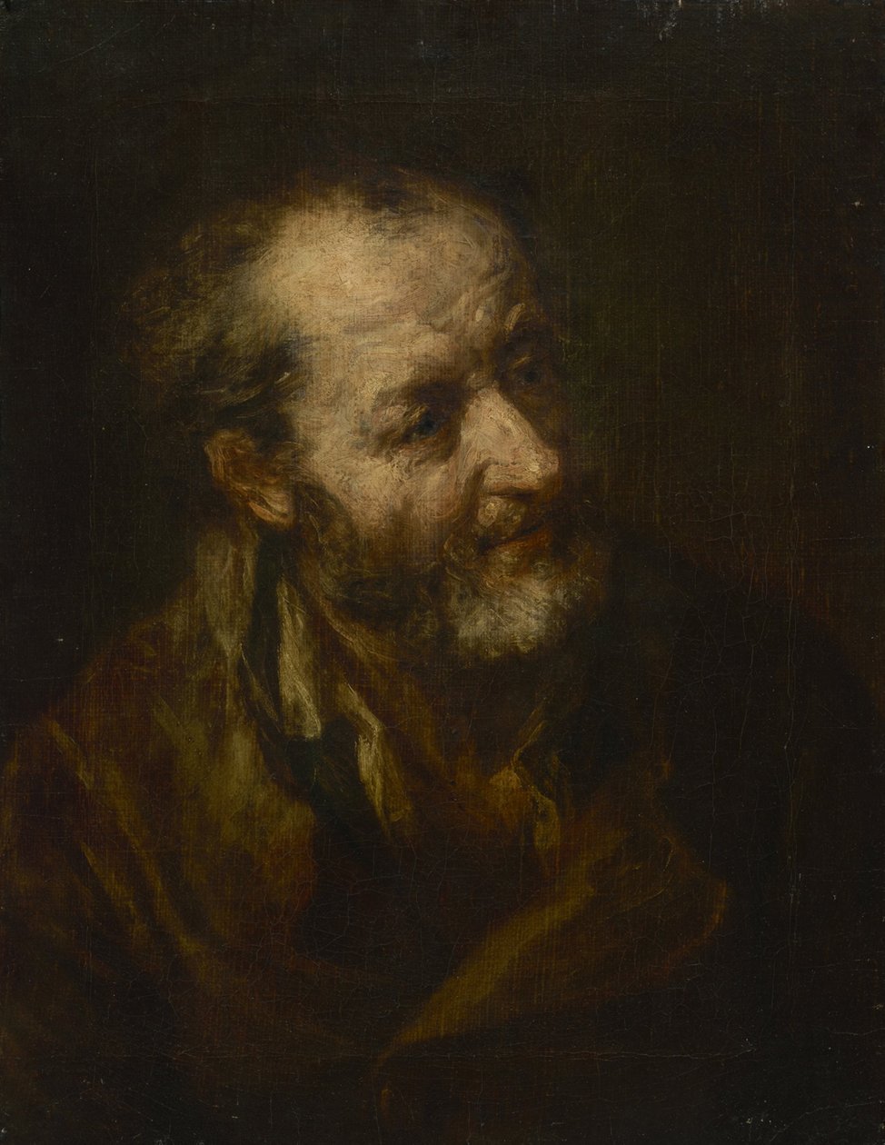 Portrét starého muže od Johann Georg von Edlinger