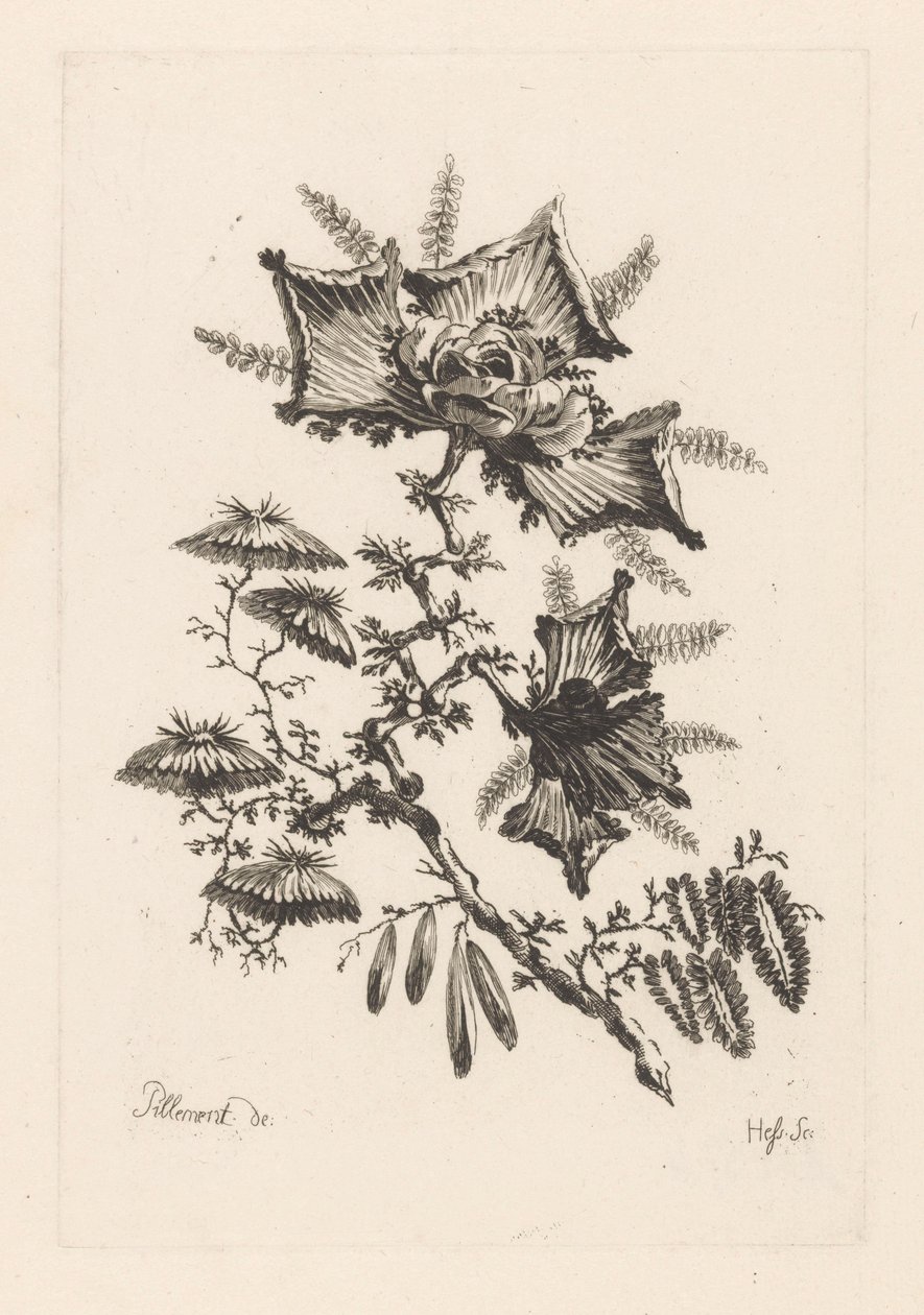 Květiny ve tvaru draka Fleures Baroque (název série) od Johann Heinrich  Hess