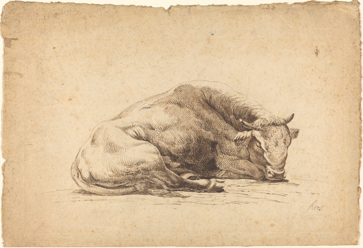 Spící býk od Johann Heinrich Roos