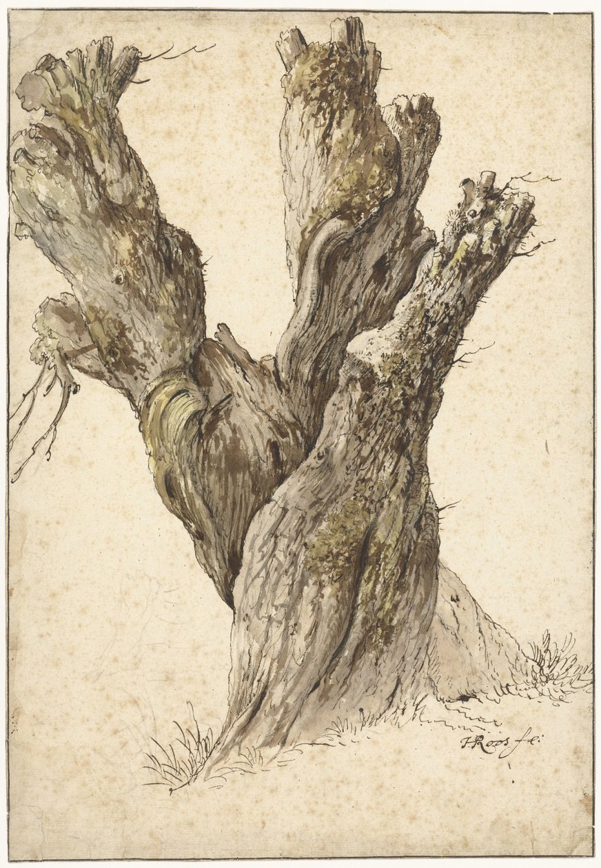Hlavový vrba od Johann Heinrich Roos