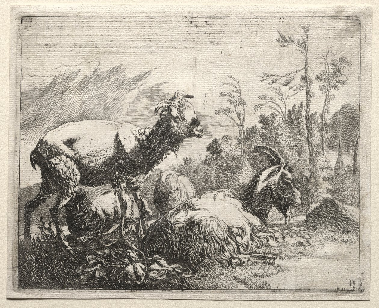Kozy, 1665. od Johann Heinrich Roos