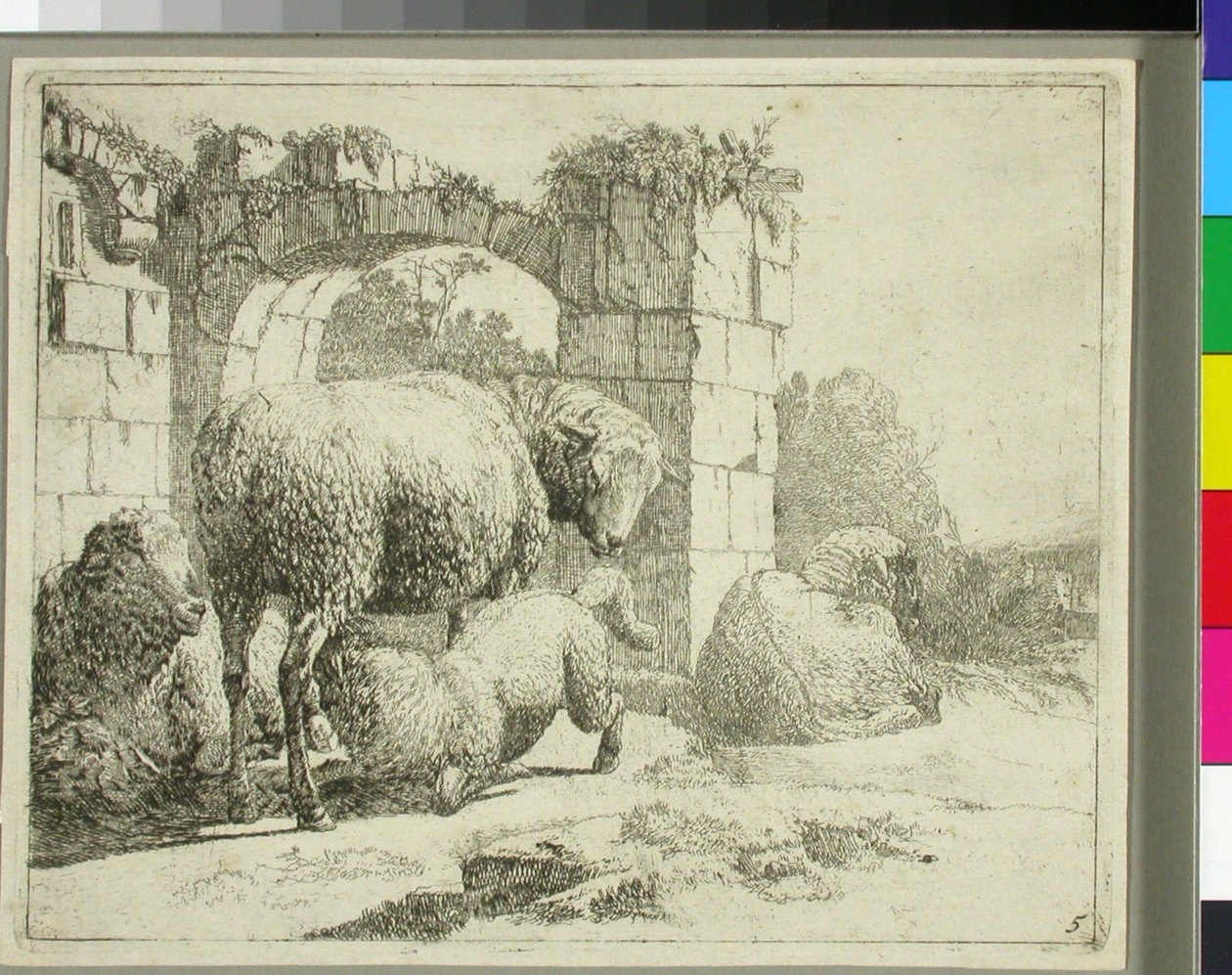 Ovce u zchátralé brány od Johann Heinrich Roos