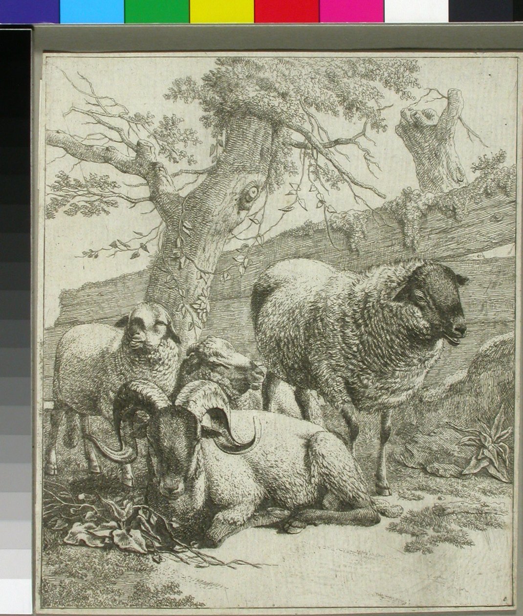 Ohne Titel od Johann Heinrich Roos