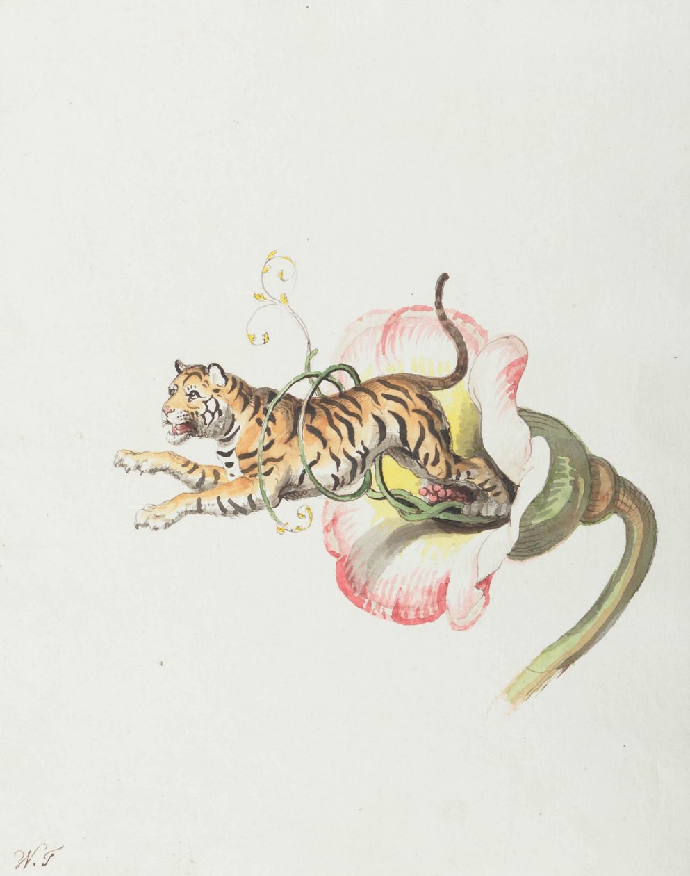 Tygr skáče z květinové koruny. Alegorie na semena květin, 1817. od Johann Heinrich Wilhelm Tischbein