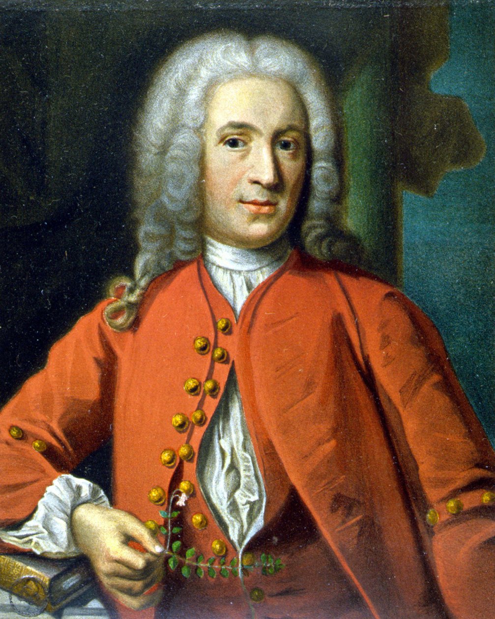 Carl Von Linné švédský přírodovědec a spisovatel (1707 - 1778) - od J. H. Scheffela, v "Portrétu Linného"" Tycho Tullberg od Johann Henrik Scheffel
