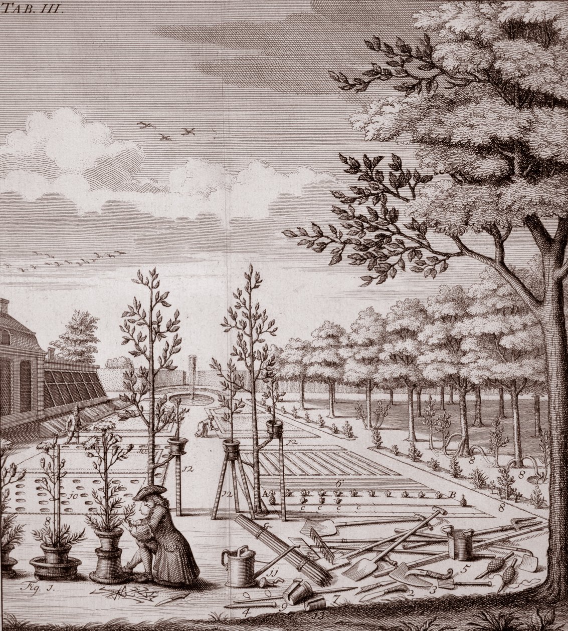 Ilustrace zahradní scény, 1753 od Johann Hermann Knoop