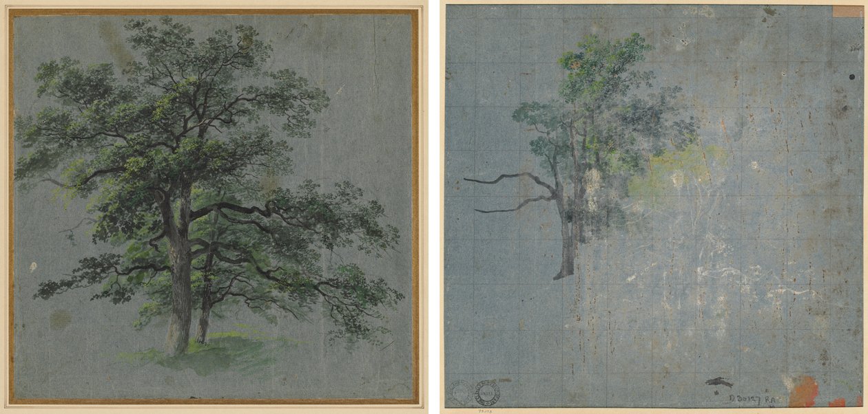 Dva stromy (recto) Stromové studie (verso) od Johann Jacob Dorner