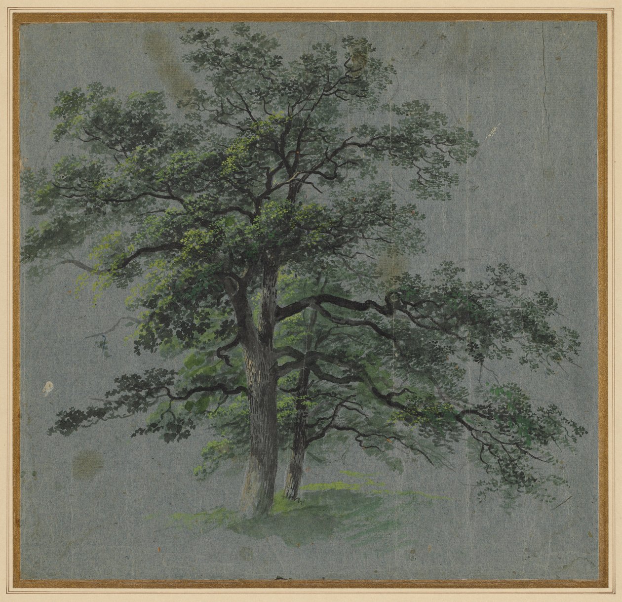 Dva stromy, první polovina 1800. od Johann Jacob Dorner