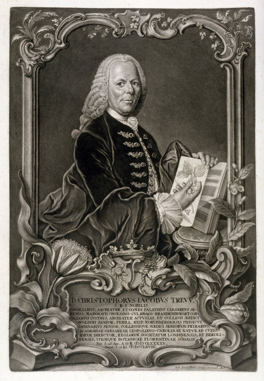 C. J. Trew, botanik, vyd. cca 1768 od Johann Jakob Haid