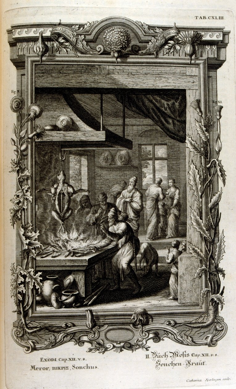 Ilustrace z posvátné fyziky nebo přírodní historie bible od Johann Jakob Scheuchzer