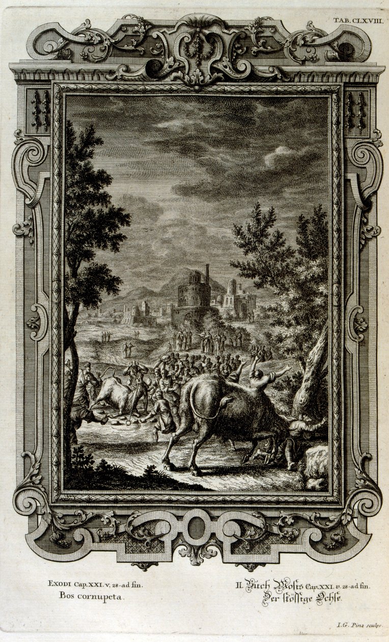 Obětování divokých býků od Johann Jakob Scheuchzer