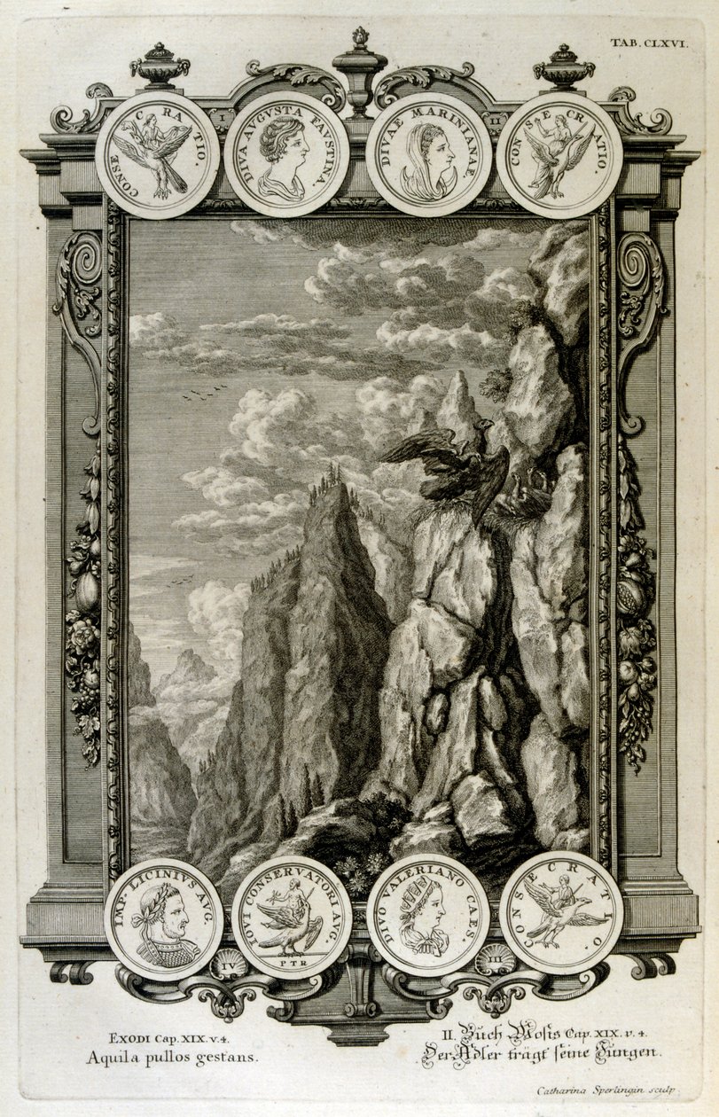 Zeus symbolizovaný jako orel od Johann Jakob Scheuchzer