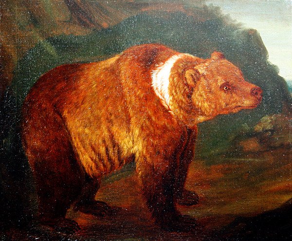 Medvěd hnědý v krajině, cca 1719 (olej na plátně) od Johann Melchior Roos