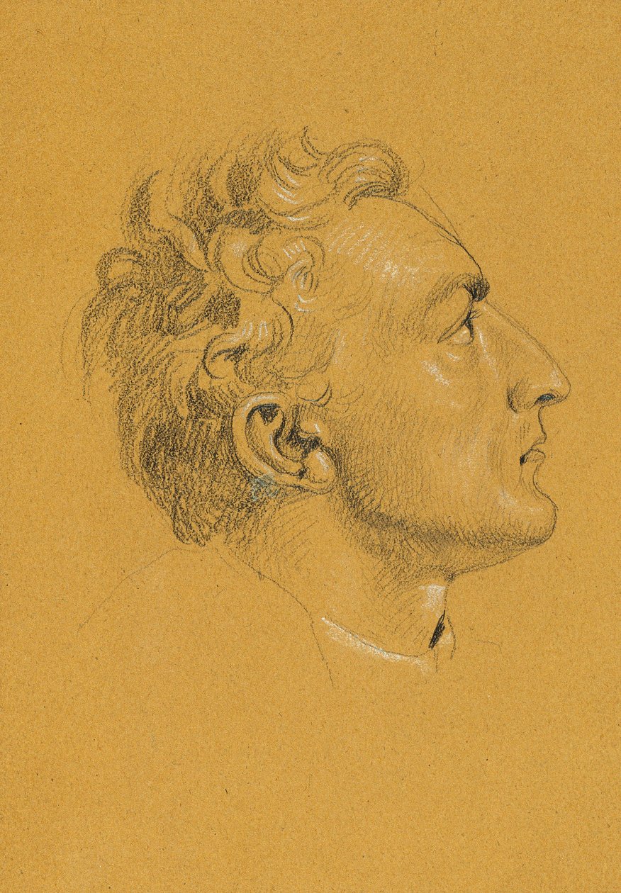 Hlavní studium "Návrat císaře Františka z Pressburgu" od Johann Peter Krafft