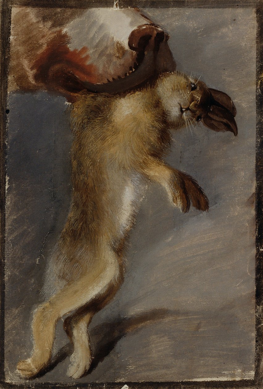 Studie zajíce od Johann Peter Krafft