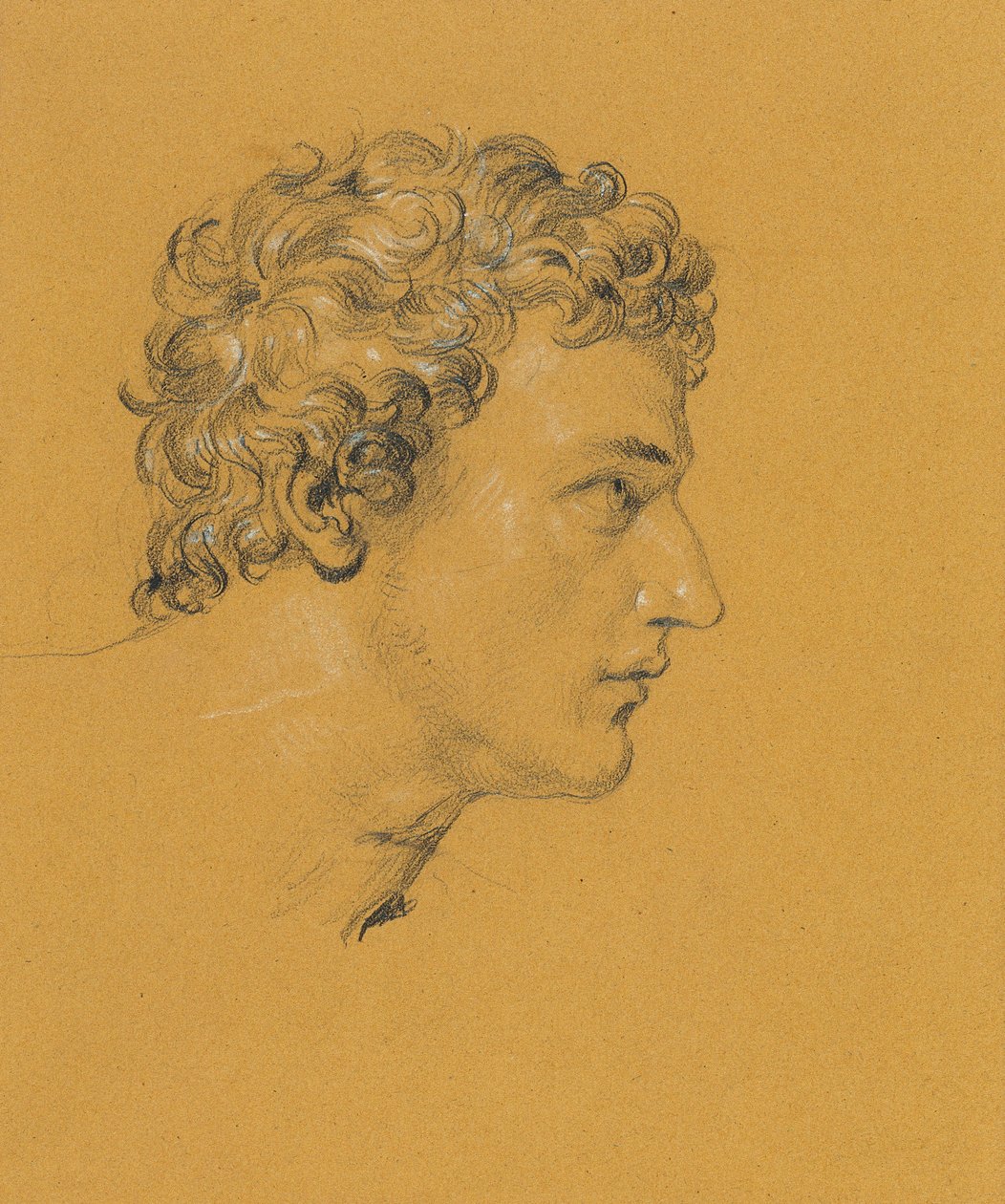 Studie hlavy od Johann Peter Krafft