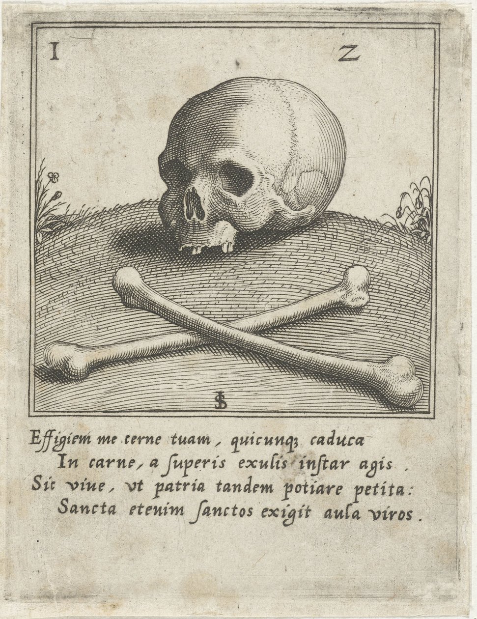 Vyobrazení Vanitas s lebkou a dvěma kostmi od Johann Sadeler (I)