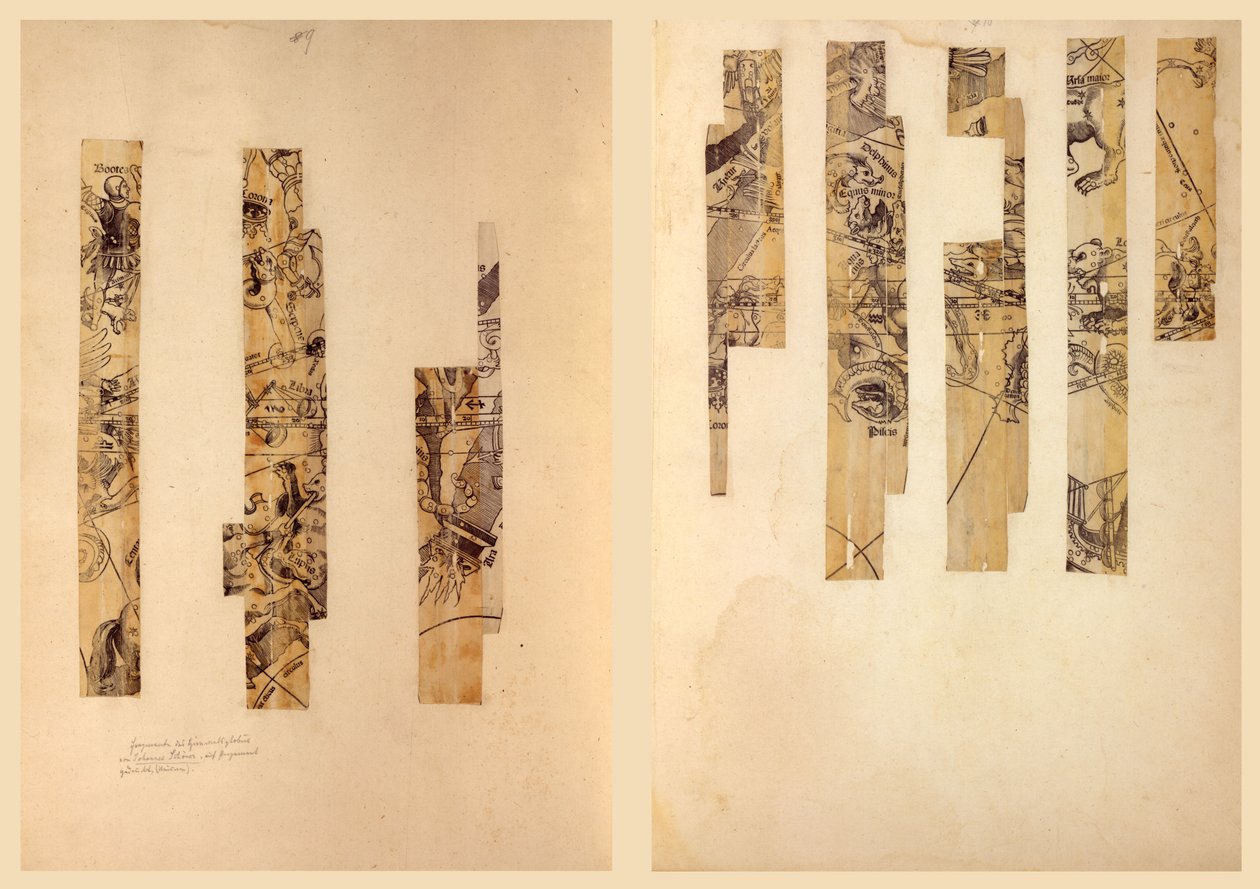 Fragmentární nebeský glóbus. LOC 2016586440 od Johann Schöner