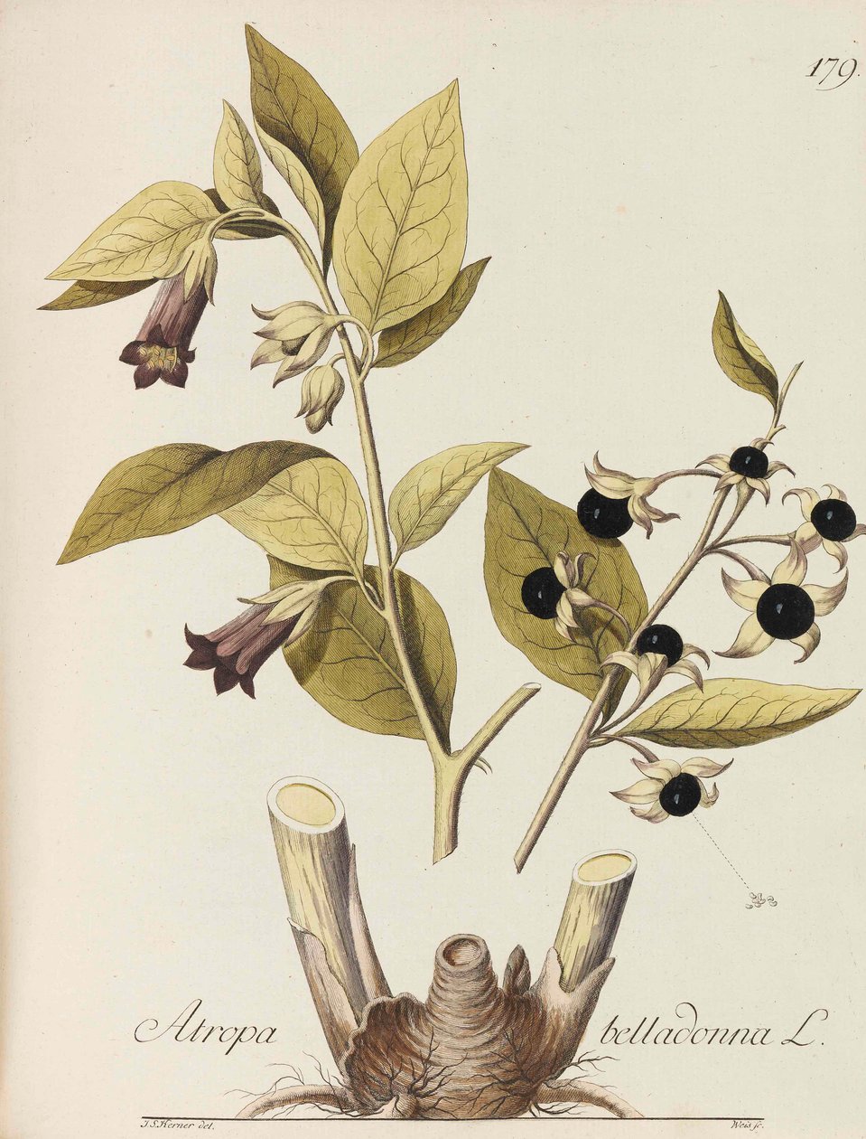Ilustrace všech hospodářských závodů, 1786-1788. od Johann Simon von Kerner