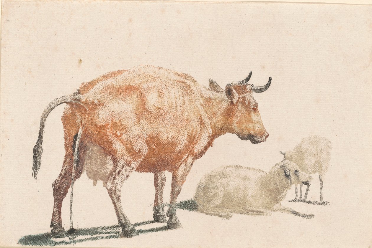 Čurající kráva od Johann Teyler, after Paulus Potter