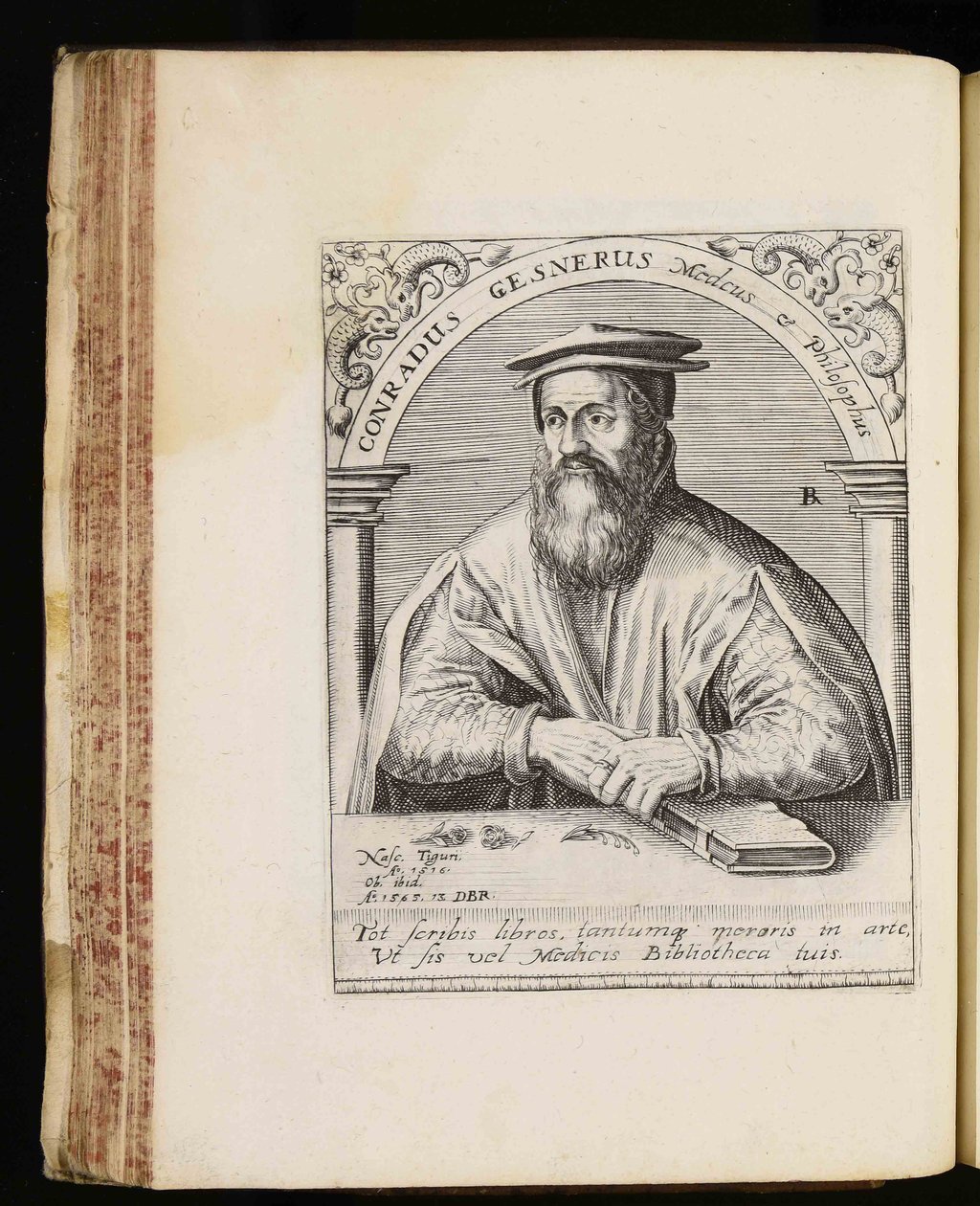 Conrad Gessner od Johann Theodor de Bry