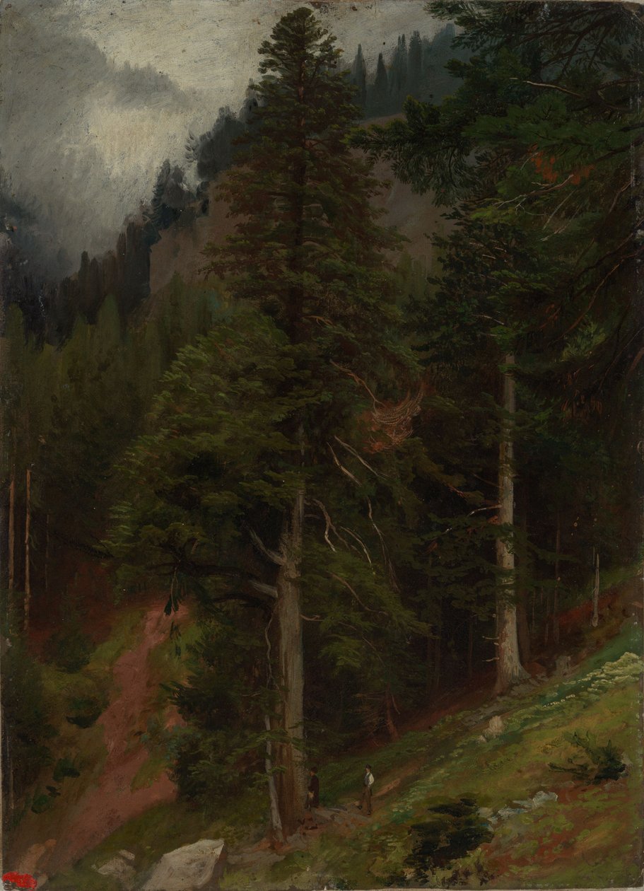 Svah v jedlovém lese od Johann Wilhelm Schirmer
