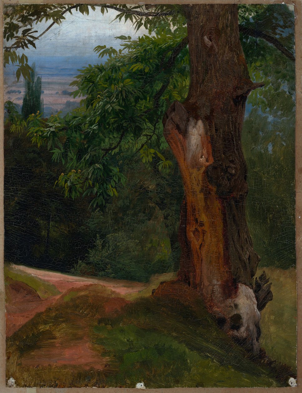Studie stromu s pohledem do údolí od Johann Wilhelm Schirmer