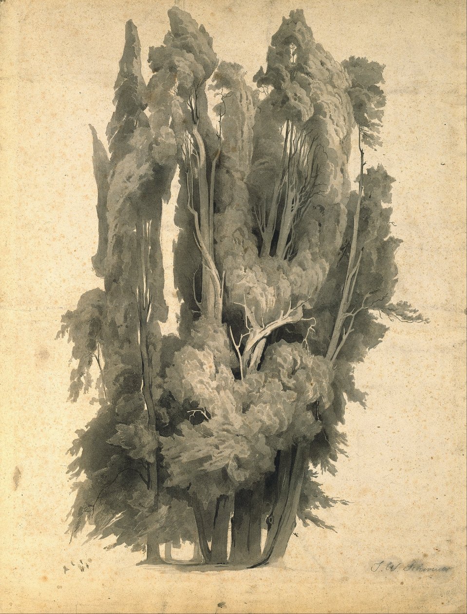Cypřiše v parku ve Villa d’Este v Tivoli od Johann Wilhelm Schirmer