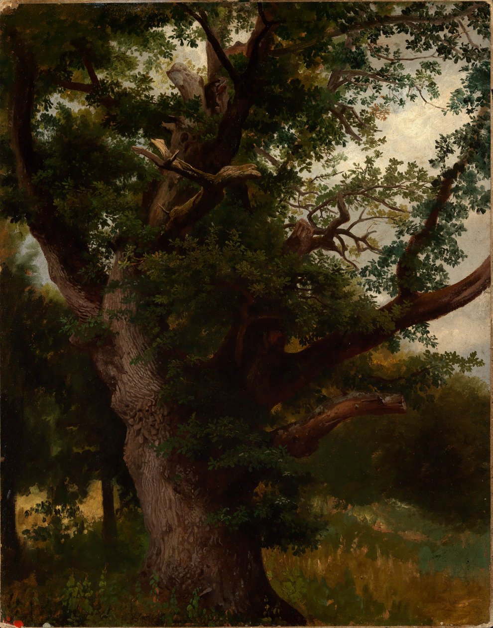 Eichbaum od Johann Wilhelm Schirmer