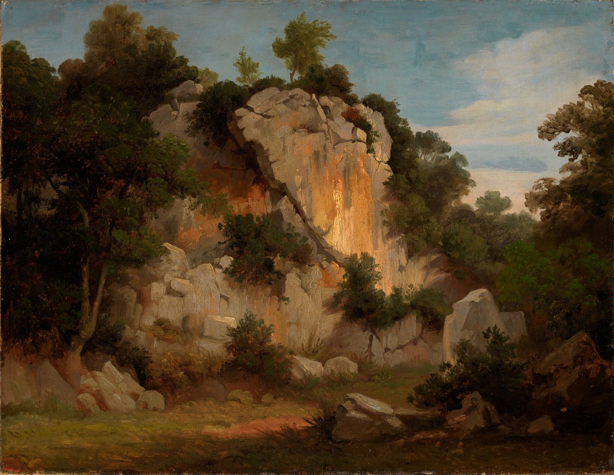 Skalní stěna se stromy a křovinami od Johann Wilhelm Schirmer