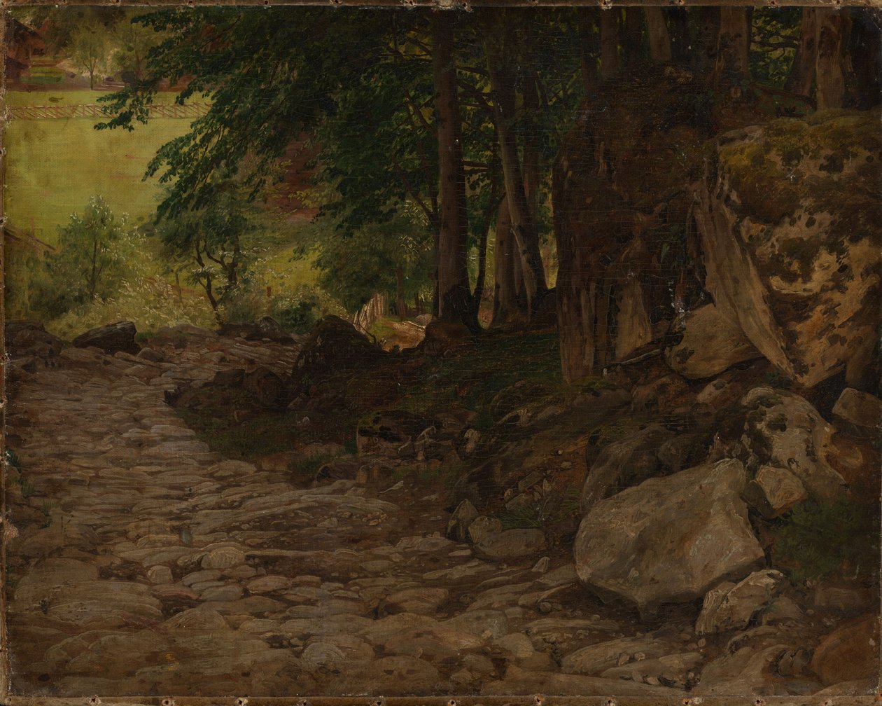 Skalní stezka ve Švýcarsku od Johann Wilhelm Schirmer