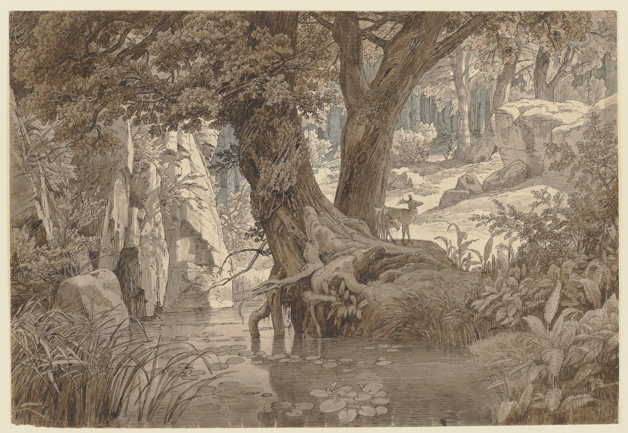 Lesní krajina od Johann Wilhelm Schirmer