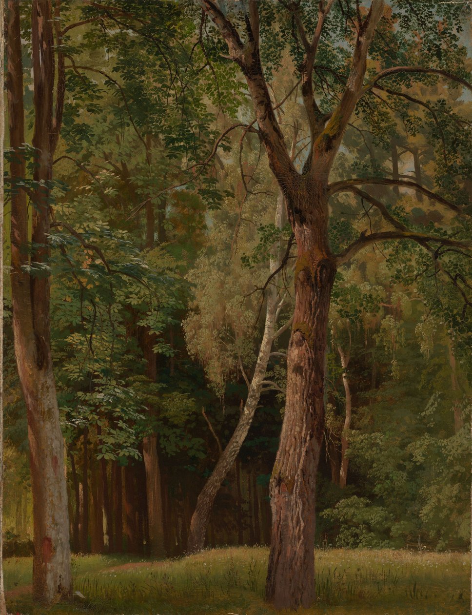 Listnatý les s kaštany a břízami od Johann Wilhelm Schirmer