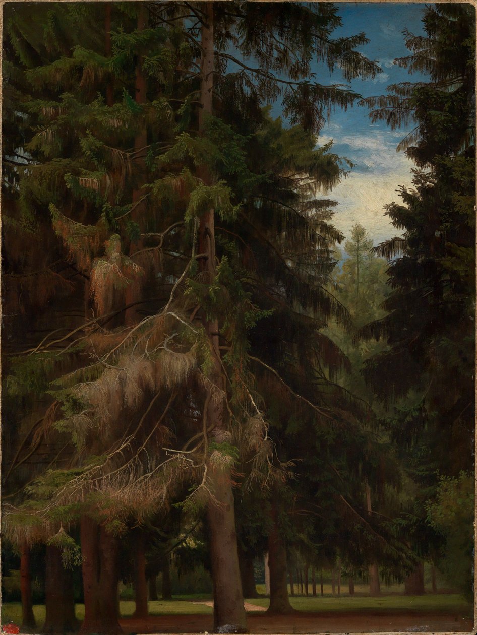 Mýtina v jedlovém lese od Johann Wilhelm Schirmer
