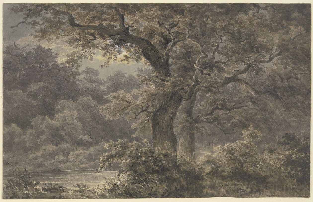 Duby v lese od Johann Wilhelm Schirmer