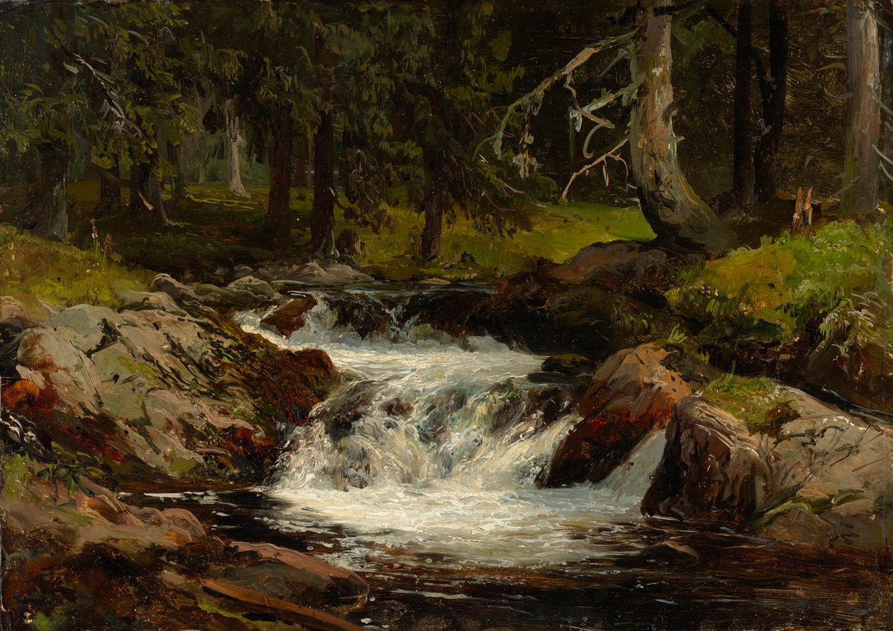 Lesní potok od Johann Wilhelm Schirmer