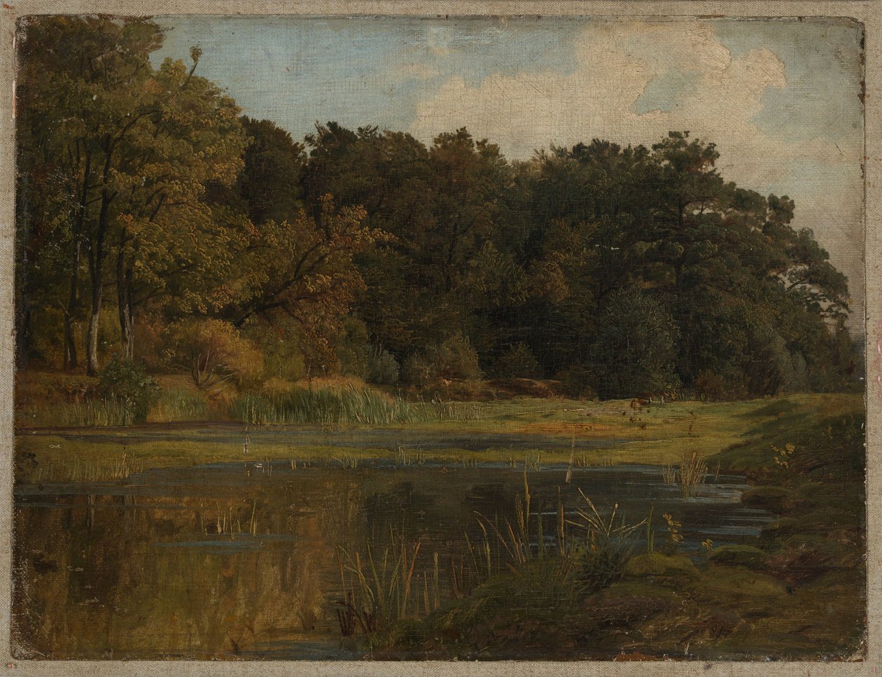 Lesní rybník od Johann Wilhelm Schirmer
