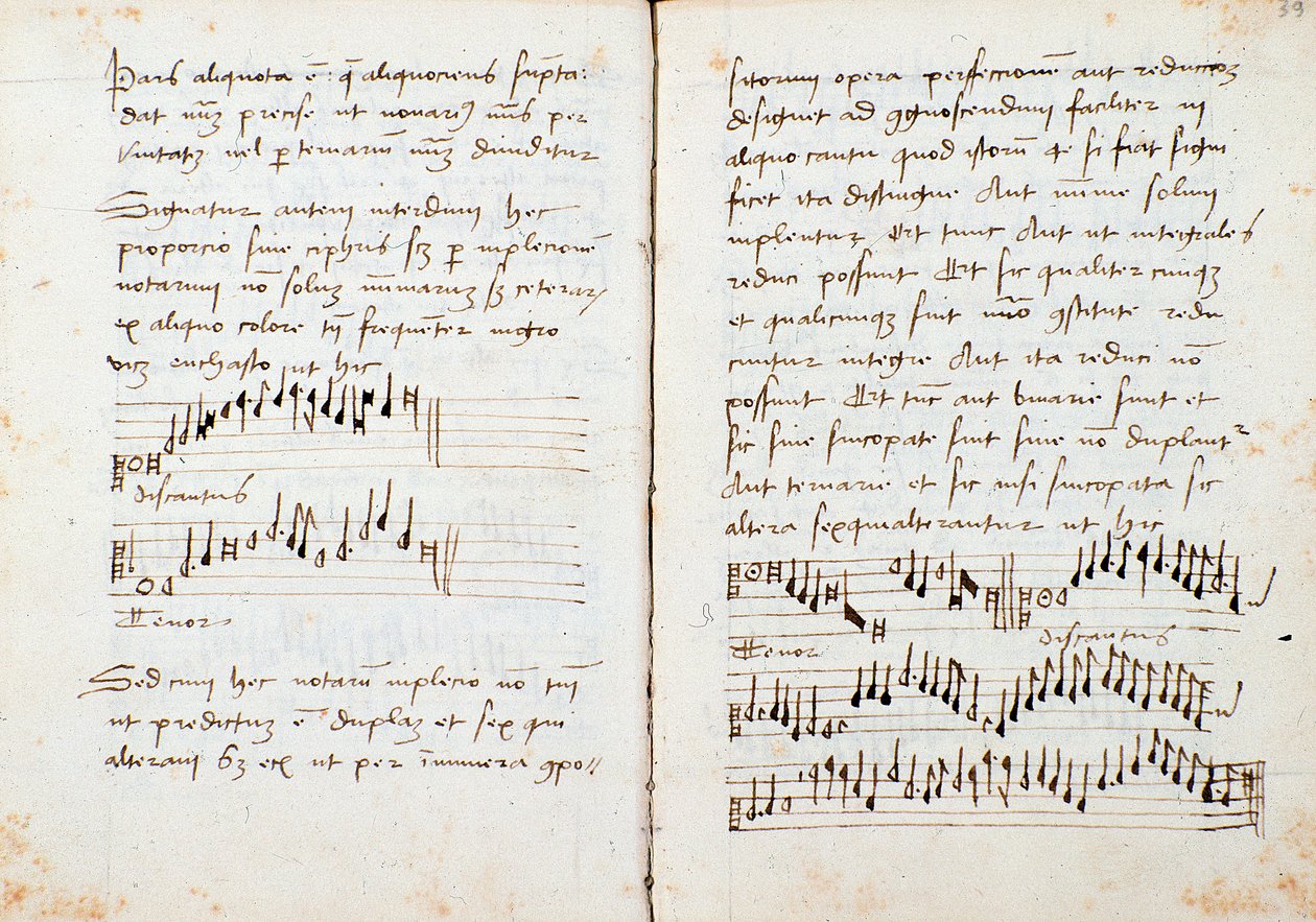 Stránka z knihy hudební teorie od Johannese Tinctorise od Johannes (c.1435 1511) Tinctoris