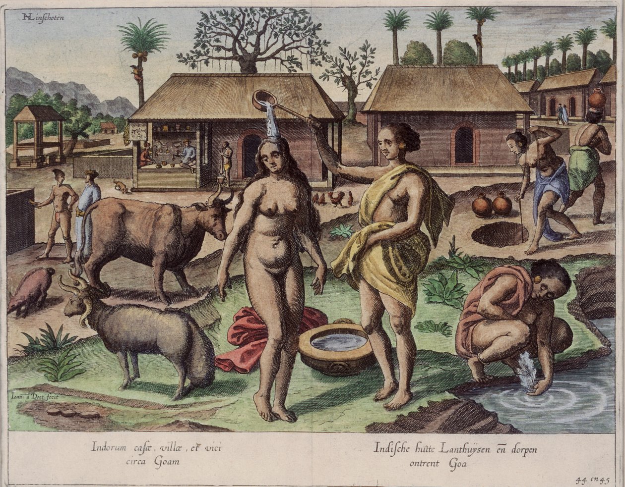 Life in Goa, ilustrace z 