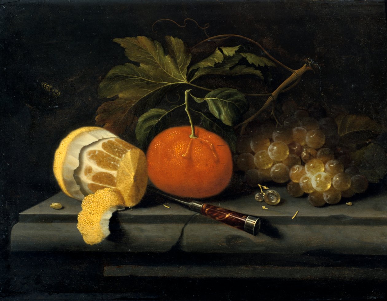 Ovoce na prostírání kamene, c1653-1659 od Johannes Borman